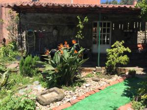 GilHabitación en A Armenteira的植物屋前的花园
