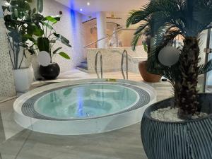 伦敦拉法耶尔酒店&SPA的植物间里的一个棕榈树热水浴缸