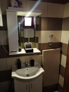 卡鲁德杰尔斯科巴尔Simic Apartmani Tara的一间带水槽和镜子的浴室