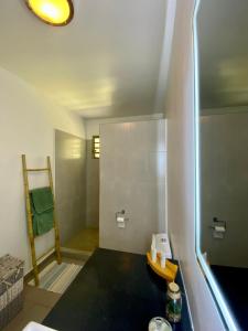 帕皮提黑提艾尔公寓的一间带水槽和淋浴的小浴室