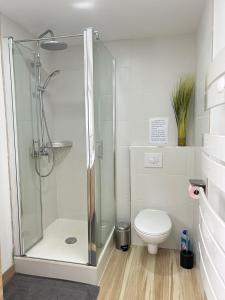 普瓦西Les Bambous的带淋浴和卫生间的浴室