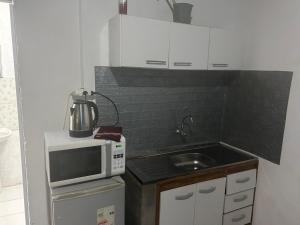 弗赖本托斯Apart Pelusa的带微波炉和水槽的小厨房