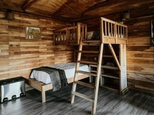 厄尔查尔坦Estancia Bonanza的小木屋设有双层床和梯子