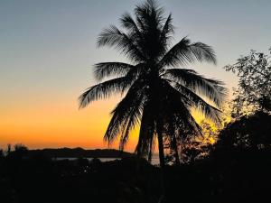 圣卡塔利娜岛Hotel Sol y Mar的棕榈树,背景是日落