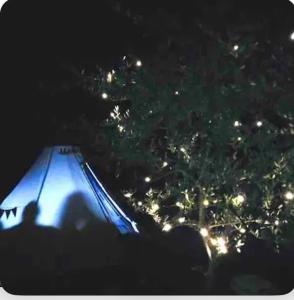 LucéramTipi sous les étoiles avec petit déjeuner的一群人晚上看一棵树