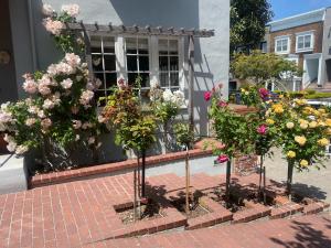 旧金山我的玫瑰园客房住宿加早餐旅馆的建筑前的一组花