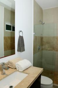 普拉亚卡门Marina Excelsior的带淋浴、盥洗盆和卫生间的浴室