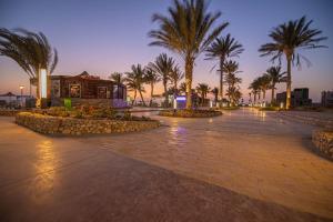 拉斯苏德尔Nozha Beach - Ras Sudr的一条种有棕榈树的城市街道和一座建筑