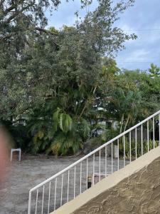 迈阿密Oasis Wynwood的一条有白色栏杆和树木的楼梯