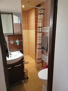 卡鲁扎Kamenec chata Thermal的一间带水槽和卫生间的浴室