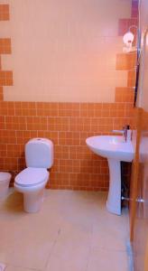 阿哈达شاليهات قلب الهدا 1-2的一间带卫生间和水槽的浴室