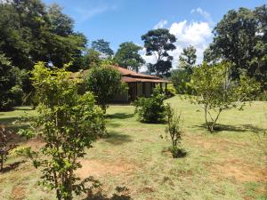 彼得罗波利斯Casa da montanha, sítio em Secretário (Petrópolis)的一座树木繁茂的院子中的房子