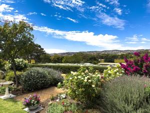 威廉姆斯镇Barossa Garden Homestay的阳光明媚的日子里,花园内种满了鲜花和灌木