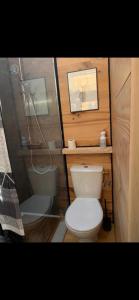 ArdresLa Tiny house的一间带卫生间和淋浴的小浴室