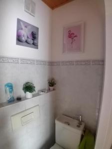 沙特努瓦Chambre spacieuse dans joli village alsacien的一间带卫生间的浴室,墙上挂着一些图片