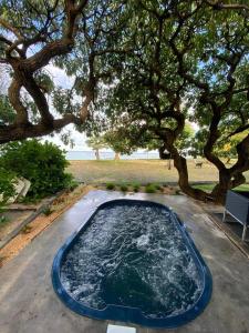 贝尔马尔Villa No2 - Sun Tan Palmar的树木繁茂的院子中的小水池