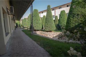 塔什干Rohat Mirobod的建筑物旁的一排树木和灌木
