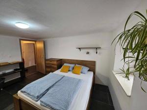 什科菲亚洛卡Apartment Slovan的一间卧室配有一张带黄色枕头和植物的床
