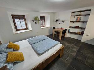什科菲亚洛卡Apartment Slovan的一间卧室配有一张大床和一张桌子