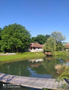 StrmostenVodenica Lug的池塘的景色,房子在后面