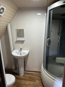 TaūtürgenКомплекс Тимур的一间带水槽、淋浴和卫生间的浴室