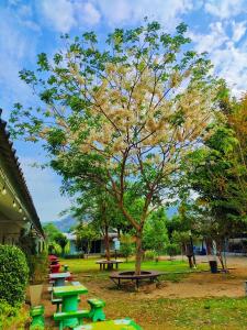 Ban Bo Wiบ้านไม้หอมบูติค สวนผึ้ง的一群野餐桌,在公园里,有树