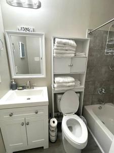 伯明翰Stay @ The Birchwood/Remodeled & 15 min to DT的一间带卫生间、水槽和镜子的浴室