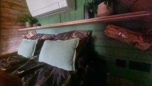泽尔赫姆Gastenhuisje的墙上的沙发上配有两个枕头