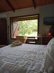 卡瓦坎特Chalés Pássaros do Cerrado的一间卧室设有一张大床和一个大窗户