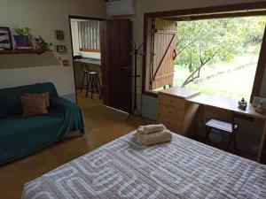 卡瓦坎特Chalés Pássaros do Cerrado的一间卧室配有一张床、一张书桌和一个窗户。