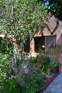爱琴娜岛卡洛肯提公寓的一座花园,在一座建筑前种有鲜花和植物