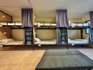 查汶DK1Hostel的带三张双层床和地毯的房间