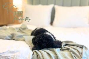 格涅兹诺阿弗酒店的躺在床上的一条黑狗