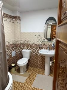 布哈拉Rizo Boutique的一间带卫生间和水槽的浴室