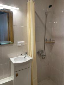 叶尔加瓦Centra dzīvoklis的浴室配有水槽和带浴帘的淋浴