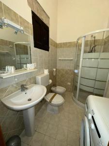 卡夏B&B PALAZZO SASSATELLI的一间带水槽、卫生间和淋浴的浴室
