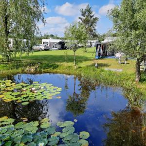 利赫滕福德Ruime caravan op gezellige minicamping的露营场地前的池塘,上面有百合垫