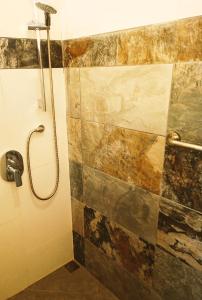 TilaránVILLA SIMONE FRENCH ECOLODGE的一间带淋浴的浴室和瓷砖墙