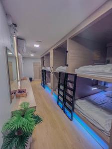 曼谷Ratchadadome hostel的一间设有三张双层床和盆栽的房间
