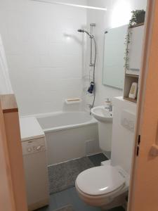HerrenbreitungenApartment nah am Strand in BreitungenWerra的白色的浴室设有卫生间和水槽。