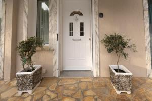 斯沃伦塔Villa Kataleya的前面有两棵盆栽树的白色门