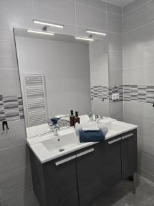 多勒Maison de la forêt的一间带水槽和大镜子的浴室