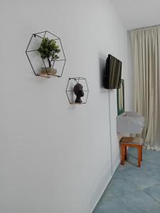 帕莱欧卡斯提撒spyridoula studio的一间墙上有两株植物的房间和一台电视