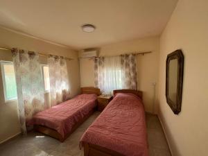 卡拉克Al Karak House的一间卧室配有两张床和镜子