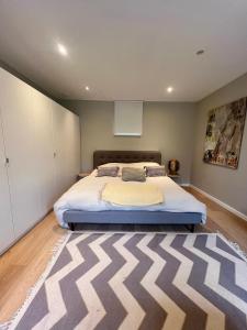 布赖恩拉勒Bois de Hal的一间卧室配有一张大床和地毯。