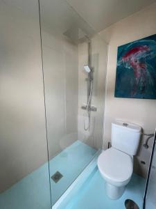 塔加纳纳TheharmonyhouseTaganana的一间带卫生间和玻璃淋浴间的浴室