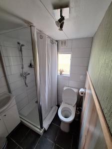 罗斯马伦贝尔克恩黑德公寓的一间带卫生间和淋浴的小浴室