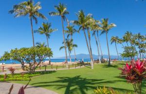 拉海纳The Kaanapali Alii By Maui Resort Rentals的海滩上种有棕榈树的公园