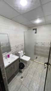 瓦迪拉姆RUM ROYAL BUBBLES lUXURY CAMP的一间带卫生间和水槽的浴室