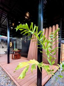 达沃市Cozy Tiny Home with Outdoor Hot Tub in City Center的木甲板,配有桌子和植物